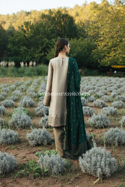 Zara Shahjahan Winter Shawl 2020 - Zohra - Image 2