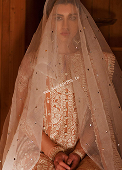 Elan Lawn 2021 - Original