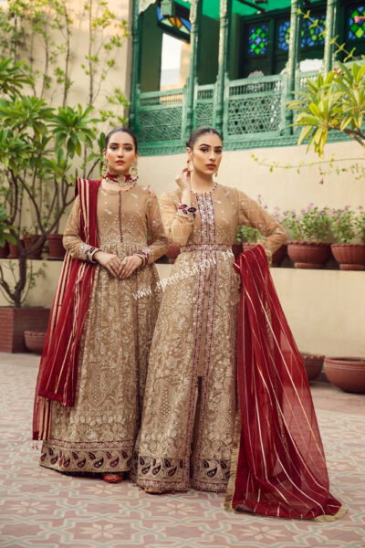 Alizeh Embroidered Chiffon Vol - 7 | Aangan