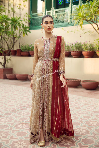 Alizeh Embroidered Chiffon Vol - 7 | Aangan - Image 2