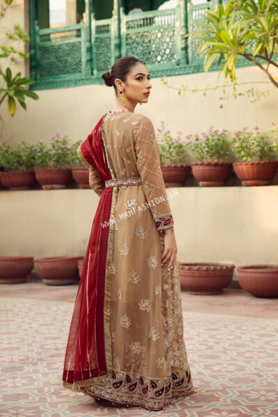 Alizeh Embroidered Chiffon Vol - 7 | Aangan - Image 3