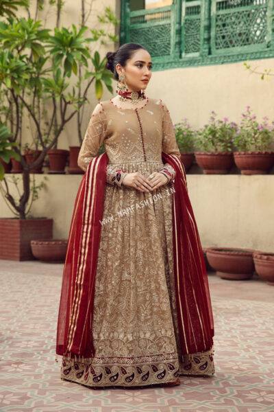 Alizeh Embroidered Chiffon Vol - 7 | Aangan - Image 4