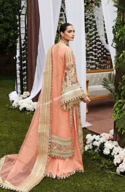 Resplendent By Shamrock Premium'21 | Day Dream - Image 2