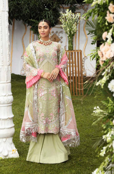 Resplendent By Shamrock Premium'21 | Ornate