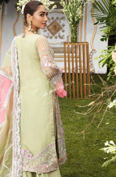 Resplendent By Shamrock Premium'21 | Ornate - Image 2