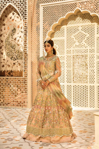 Crimson X Saira Shakira Wedding Collection ' 22 | 1A - Blush - Image 2
