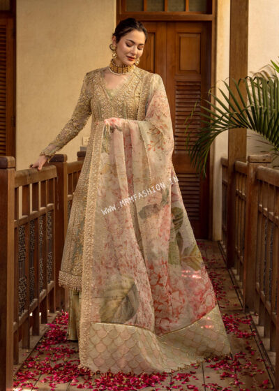 Aik Jhalak | Crimson X Saira Shakira Wedding Collection ' 22 | D3 Shikargah - Image 3