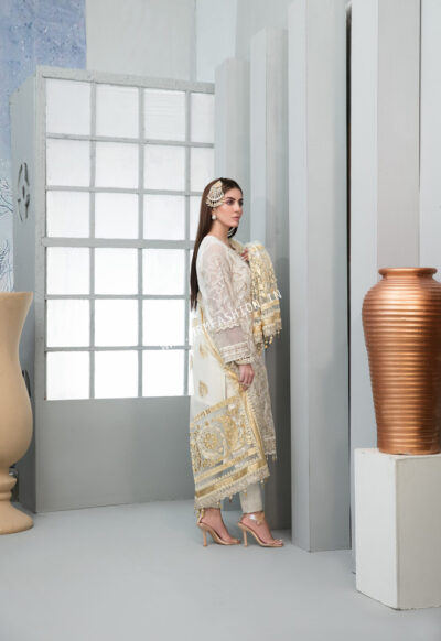 Chantilly Chiffon By Tawakkal 2022 | D-6003 - Image 2
