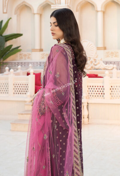 Janira Chiffon Vol-2 By Adan's Libas 2023 | Zaib-Un-Nisa - Image 2
