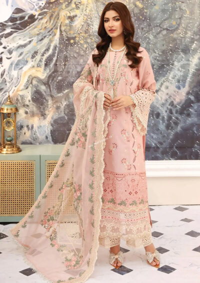 Elaf Festive Chikankari 2023 | ELC-6 FLAMINGO