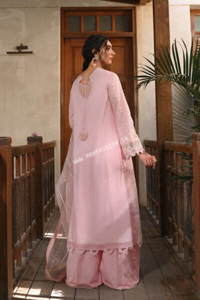Aabyaan Chikankari Eid Collection 2023 | AE-1 - Image 2
