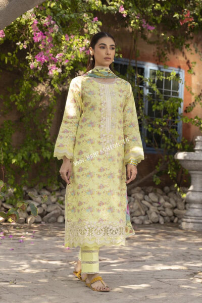 Aabyaan Prints 2023 | AP-10