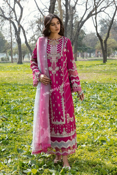 Qalamkar Qline Lawn 2023 | AK-13