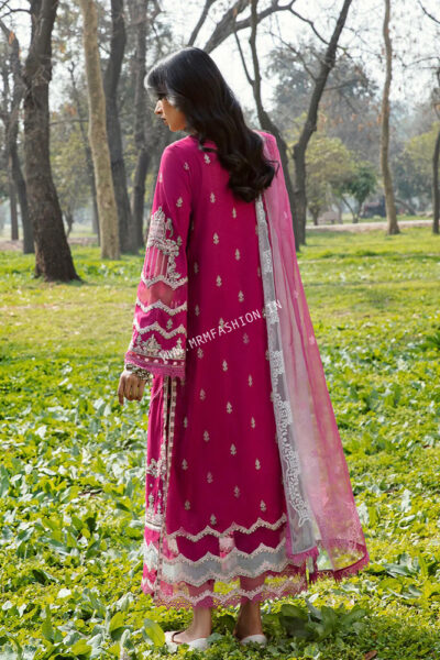 Qalamkar Qline Lawn 2023 | AK-13 - Image 2