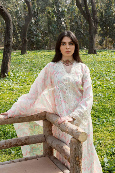 Qalamkar Qline Lawn 2023 | AK-14 - Image 2