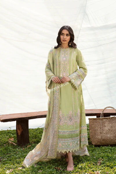 Qalamkar Qline Lawn 2023 | AK-3