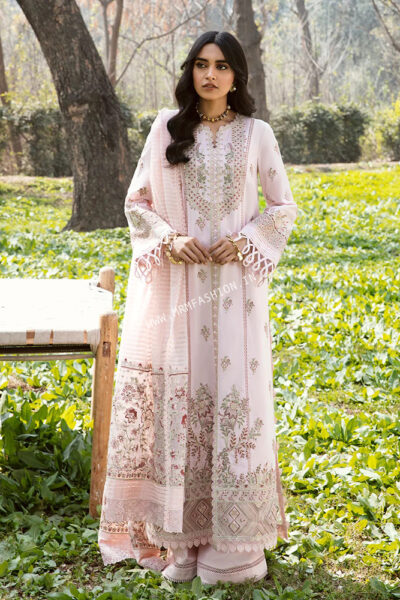 Qalamkar Qline Lawn 2023 | AK-4