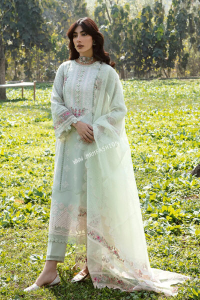Qalamkar Qline Lawn 2023 | AK-5