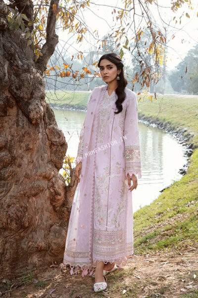 Qalamkar Qline Lawn 2023 | AK-8