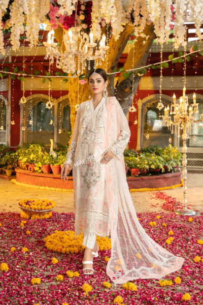 Jahan Festive Collection By Tawakkal 2023 | D-9345