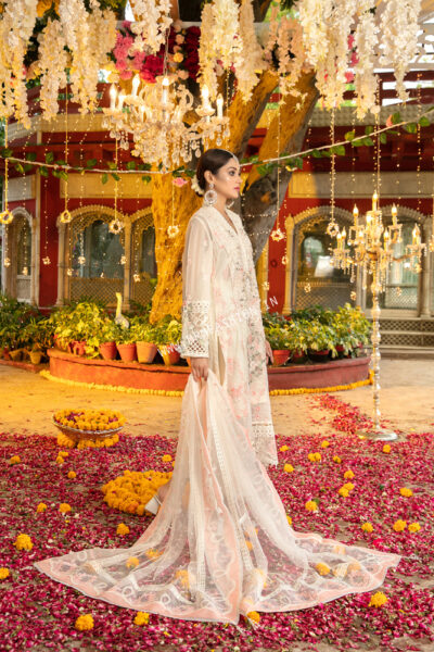 Jahan Festive Collection By Tawakkal 2023 | D-9345 - Image 2
