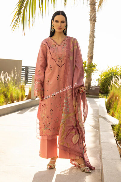 Rang Rasiya Carnation Summer ' 25 | Orchid