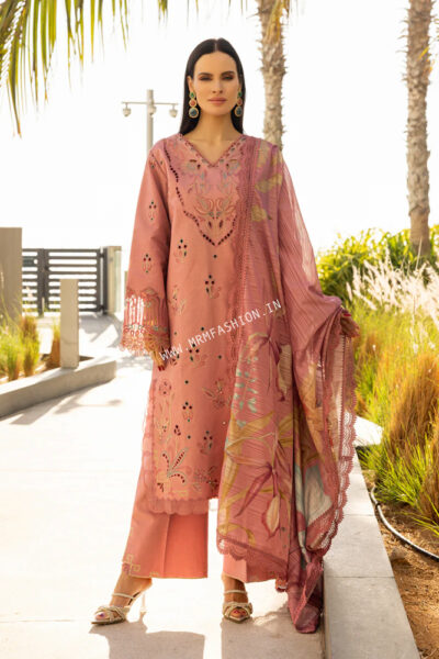 Rang Rasiya Carnation Summer ' 25 | Orchid - Image 2