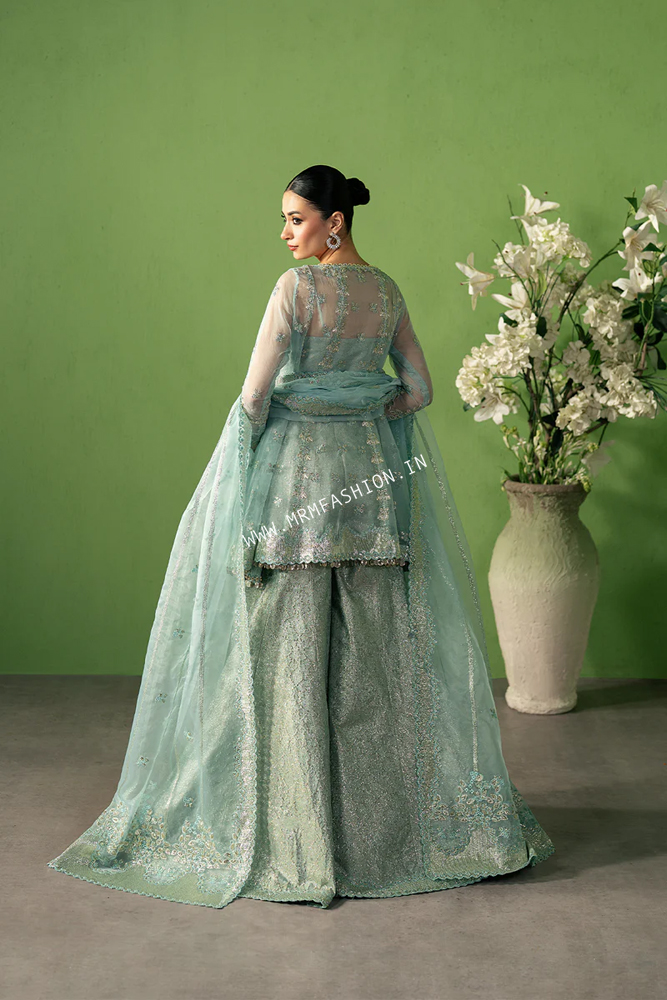 Pehli Nazar Festive Formals By Ayzel 2025 | Zarbaaf - Image 2