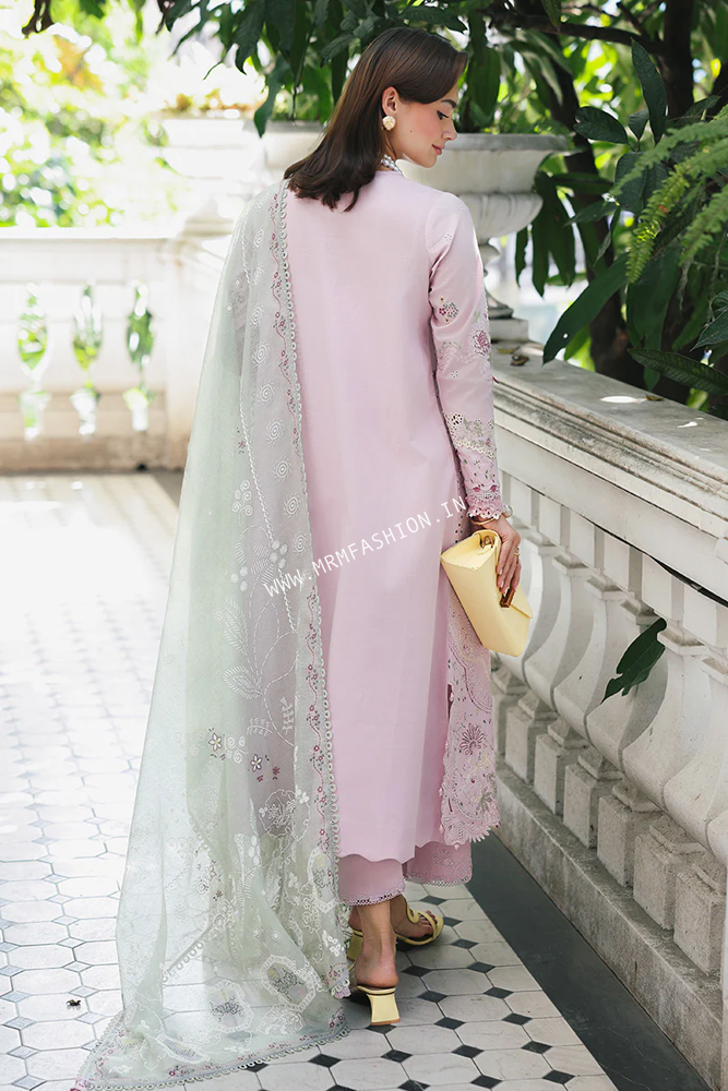 Qalamkar Qline Lawn Drop I 2026 | RP-11 - Image 2