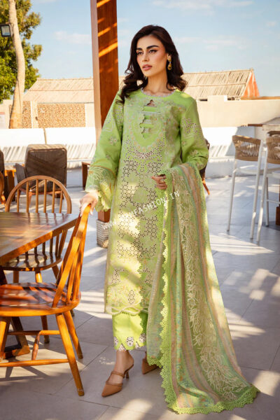 Rang Rasiya Premium Lawn 2025 | Elaheh