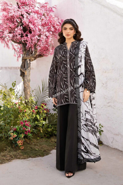 Maria B M.Basics Lawn Volume 1 ' 25 | Design - 704 B