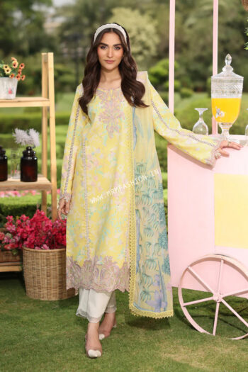 Lifestyle Summer Edit Volume 2 By Rang Rasiya 2025 | Reena