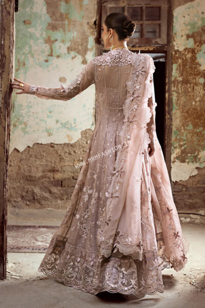Qalamkar Chiffons Luxury Formals ' 25 | WC-01 - Image 2