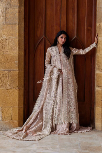 Dastangoi Wedding Formals By Afrozeh ' 26 | Rang-e-Dastaan