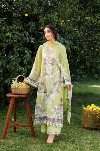 Elaf Premium Luxury Lawn ' 26 | ELY-08