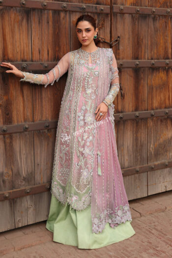 Crimson Wedding ' 26 | TILSAM