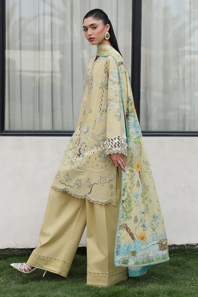 Qalamkar Qline Lawn Drop II 2026 | QKL-11 - Image 2
