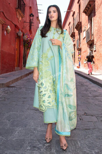 Hemline | Odyssey Lawn By Mushq ' 26 | Paloma