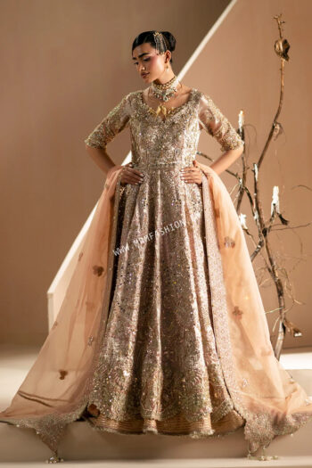 Signature Wedding Formals By AJR Couture ' 26 | Rang E Noor